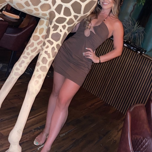 Zara Beaded and Cutout Dress Brown - Picture 2 of 8